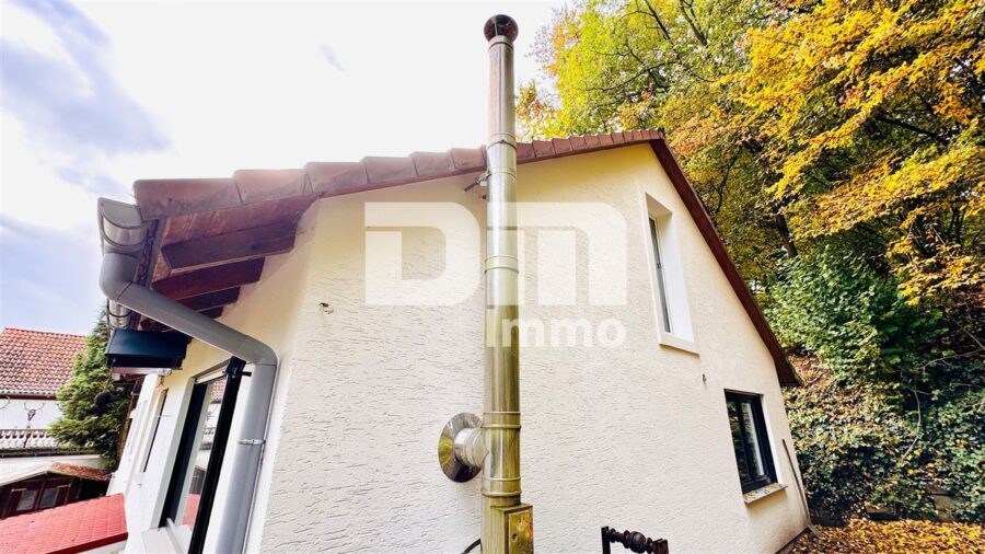 Umfassend saniertes Ein- Zweifamilienhaus auf großem Grundstück in Traumlage - Seitenansicht